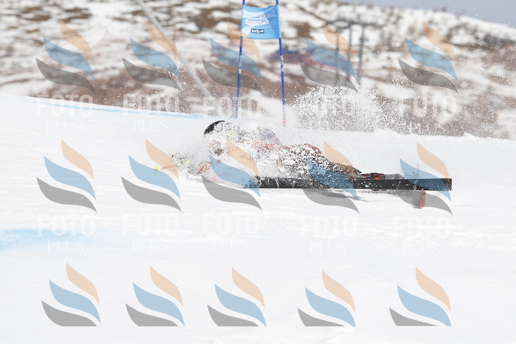 _U3G1532 | holidayphoto