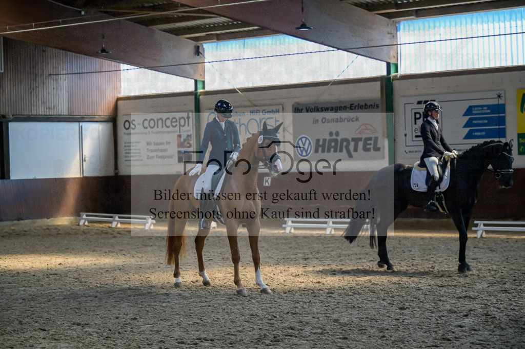 Reitturnier Voxtrup | Entdecke hochwertige Reitturnierfotos von Foto Oger. Professionell, emotional und authentisch – jetzt Lieblingsmomente im Shop bestellen.Deutschlandweite Turnierfotografie. - Realisiert mit Pictrs.com