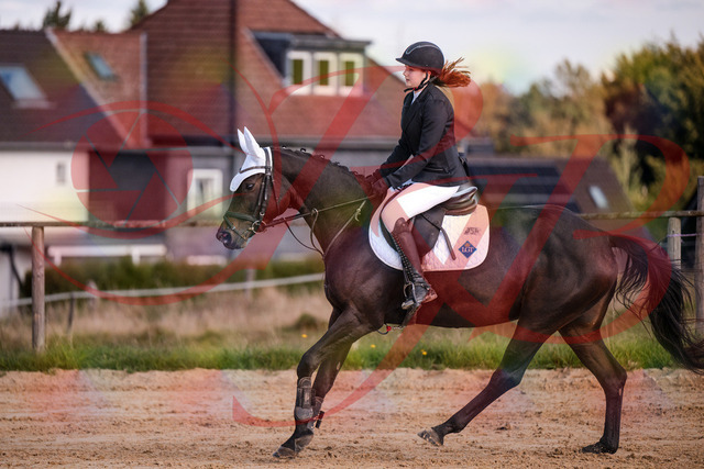 2026_10_03_Siefer-Hof_145929_Z81_41776254 | Professionelle Reitsport-, Turnier- und Eventfotografie von Robert Broda. Galerien mit ausgewählten und bearbeiteten Bildern direkt online ansehen und bestellen.