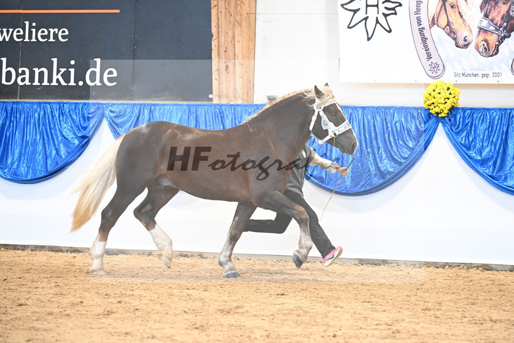Kat-Nr. 48 nn v. Valegro_Glonecker-Edmueller_39251240 | hf-fotografie - Realizzato con Pictrs.com