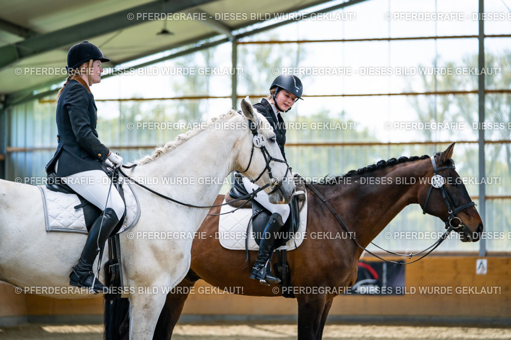 DSC05768 | Pferdegrafie