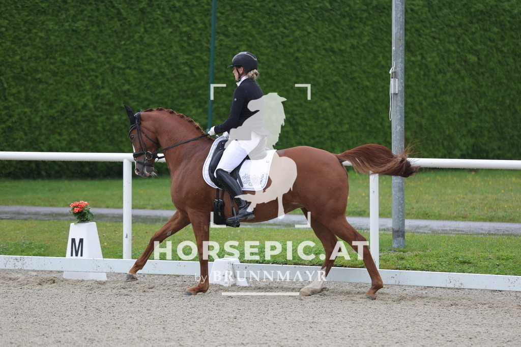 0P6A0155 | Willkommen bei Brunnmayr - Design & Fotografie – Ihrem Spezialisten für Reitturniere und Pferdeveranstaltungen in Oberösterreich, Salzburg und Bayern! Seit über 17 Jahren sind wir leidenschaftlich dabei.
