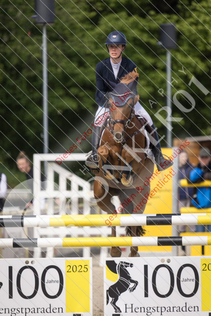 IMG_4698 | Sport-, Event- und Tierfotos in Profiqualität. Einfach auswählen, bestellen und herunterladen. Dein Moment – perfekt festgehalten.
