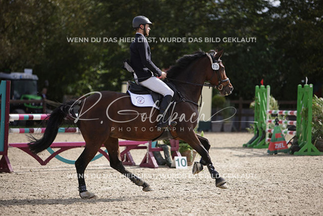 1J2A4340Melvin Henze_ Miss Colman 2_ Kn739_ Havekost | Foto- und Videografie für alles rund ums Pferd. Hochwertige Bilder und Videos vom Spring- und Dressurreiten, Voltigieren & mehr. Jetzt aktuelle Veranstaltungen und Preise im Shop ansehen. - Realisiert mit Pictrs.com