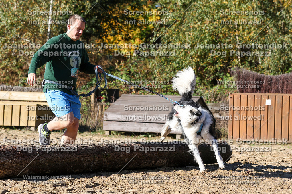 Dog Paparazzi - Strongdog 10-25-2692 | Dog Paparazzi Jeanette Grottendiek Fotografie & Videografie - Realisiert mit Pictrs.com