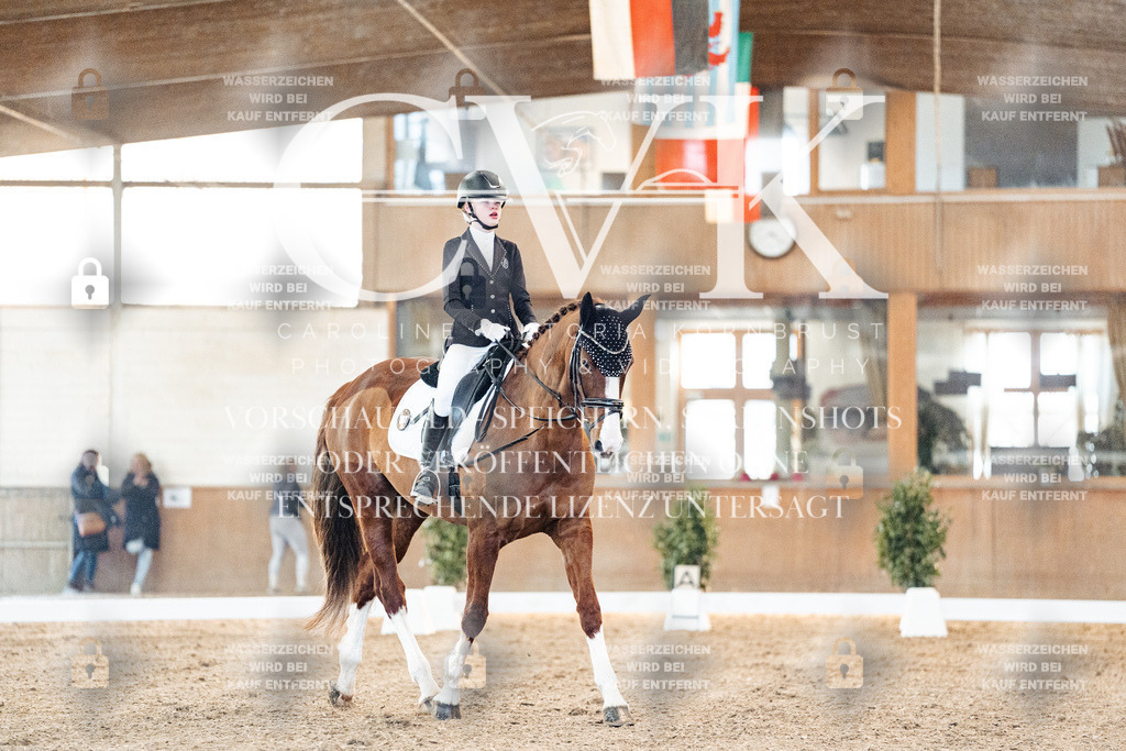 CK906674 | Turnierfotografie Pferdefotografie Trier Rheinland-Pfalz Pferdesport Reitsport Tierfotografie Sportfotografie Pferdevideo Pferdevideografie Equestrianvideography equestrianphotography  - Realisiert mit Pictrs.com