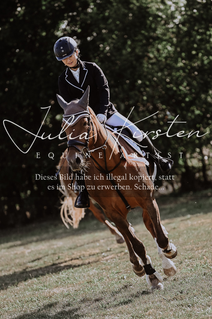 DSC_9535 | Pferde- und Turnierfotografie in Westsachsen. Pferdeportraits, Auftragszeichnungen und intuitive Kunst.