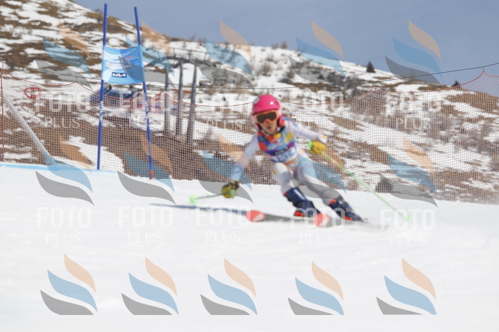 _U3G0891 | holidayphoto