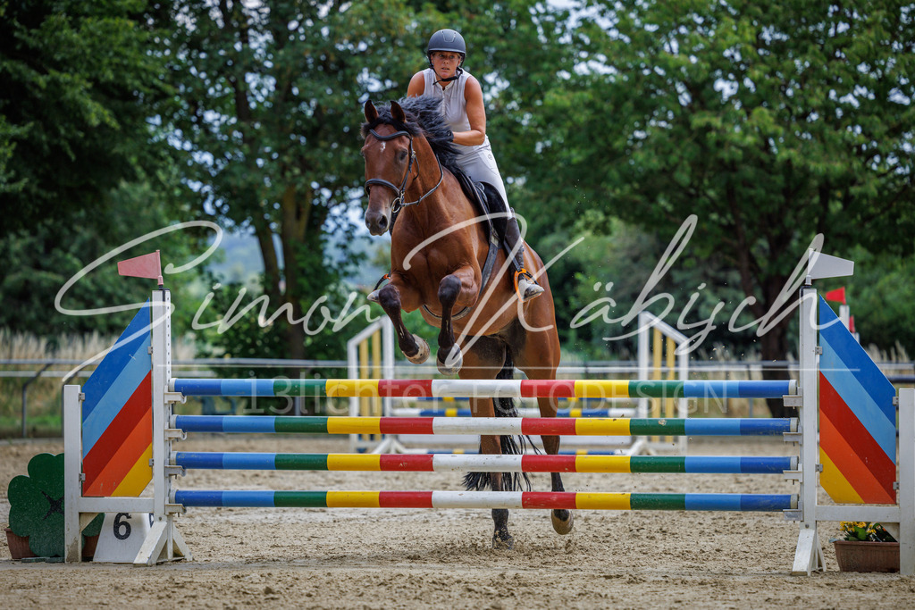 20260705-_3LI6148 | Tierfotografie Pferde, Hunde, Katzen, Haustiere.
Turnierfotografie Reitturniere, Reiten, Springreiten, Dressur in Hanau, dem Main-Kinzig-Kreis und dem Rhein-Main- Gebiet um Frankfurt