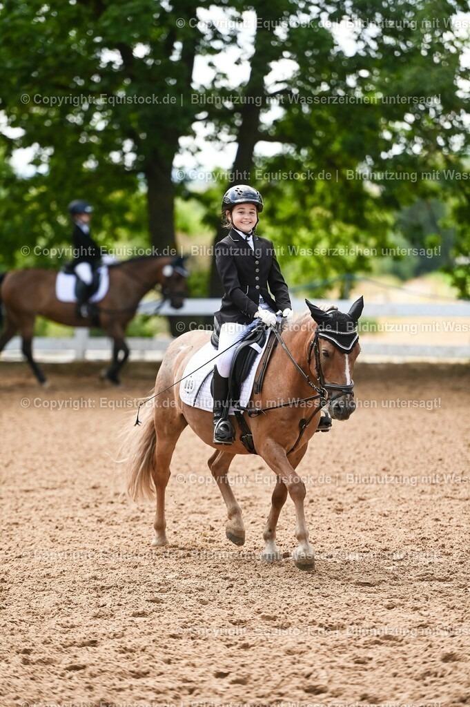 20230716_10-3_Reiter-WB Schritt - Trab - Galopp_0175 | equistock