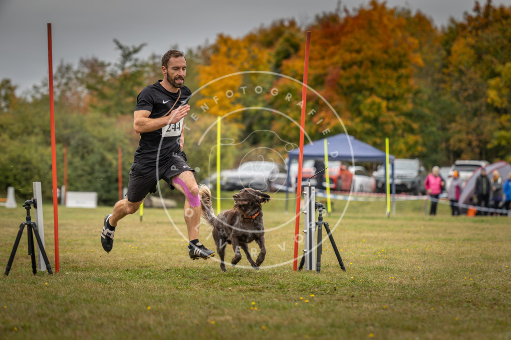 Pfotenfotografie_DV3A5581 | Hundefotografie, Tierfotograf, Pfotenfotografie, Fotoshooting Hund, Hunde Portrait, Hundesport, Hundeportraits, Heideshooting, Hunde, Sportfotograf, Hundefotograf, Turnierhundsport, THS,  - Realisiert mit Pictrs.com