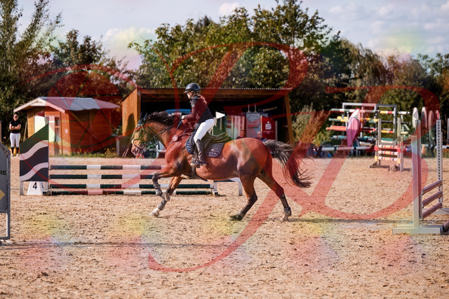 2026_10_03_Siefer-Hof_154640_Z81_65490615 | Professionelle Reitsport-, Turnier- und Eventfotografie von Robert Broda. Galerien mit ausgewählten und bearbeiteten Bildern direkt online ansehen und bestellen.