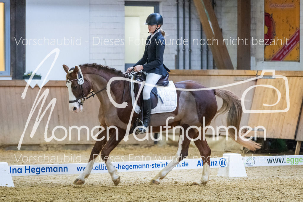 Sth-WBO25-EDr-068 | MomenTaufnahmen Pferdesportfotos