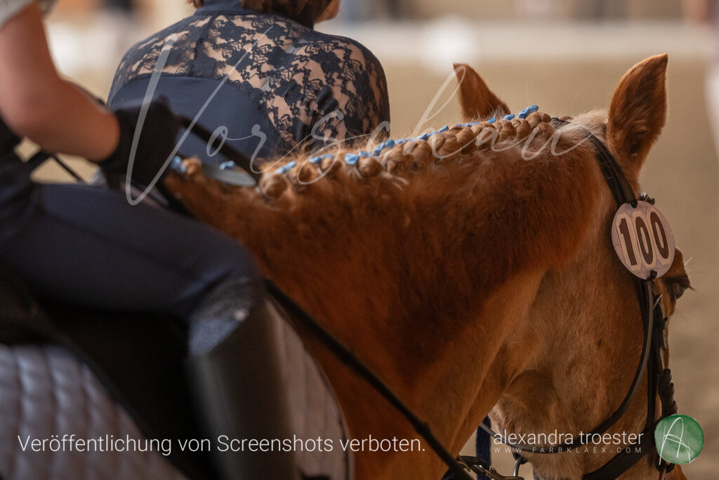 250405_Barop_01_064 | farbklaex.com