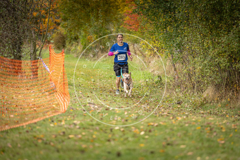 Pfotenfotografie_DV3A4076 | Hundefotografie, Tierfotograf, Pfotenfotografie, Fotoshooting Hund, Hunde Portrait, Hundesport, Hundeportraits, Heideshooting, Hunde, Sportfotograf, Hundefotograf, Turnierhundsport, THS,  - Realisiert mit Pictrs.com