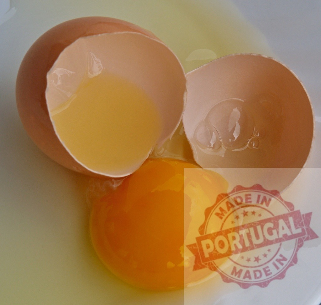 Broken egg with rich yolk and eggshell | Broken raw egg with yolk and albumen flowing from the cracked shell - Realisiert mit Pictrs.com
