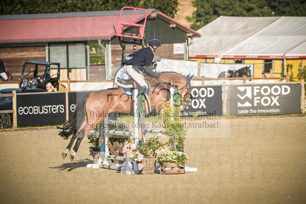 DOS_7027 | Entdecke hochwertige Reitturnierfotos von Foto Oger. Professionell, emotional und authentisch – jetzt Lieblingsmomente im Shop bestellen.Deutschlandweite Turnierfotografie. - Realisiert mit Pictrs.com