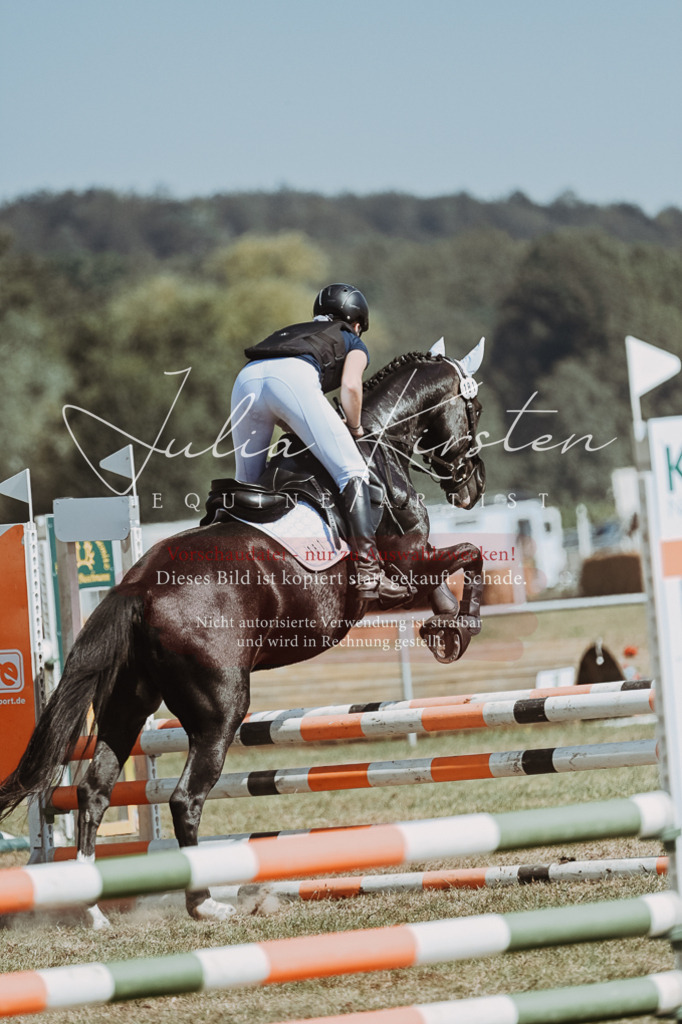 DSC_9844 | Pferde- und Turnierfotografie in Westsachsen. Pferdeportraits, Auftragszeichnungen und intuitive Kunst.