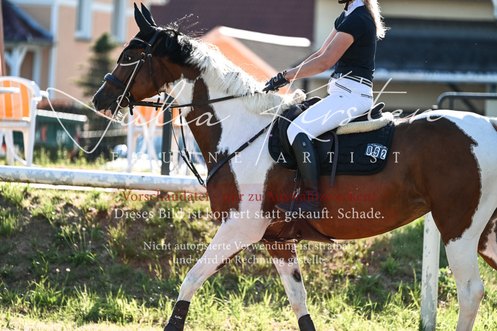 DSC_2840 | Pferde- und Turnierfotografie in Westsachsen. Pferdeportraits, Auftragszeichnungen und intuitive Kunst.