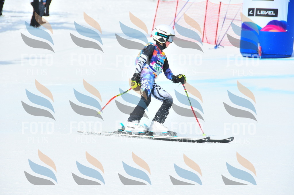 DSC_2922 | holidayphoto