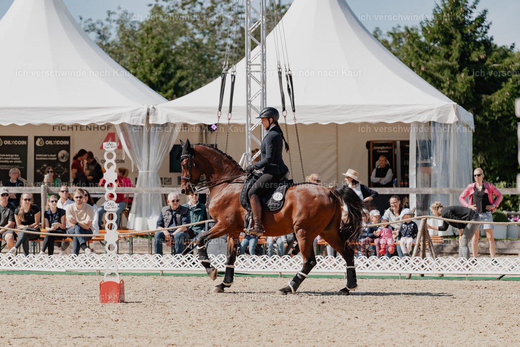 Nadine22_FHC2025-60 | working equitationturnier fotograf videograf stoibphotography marixx film working equitation deutschland reitsport turnierfotografie eventfotografie equestrian events
