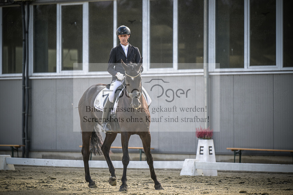 DOS_0429 | Entdecke hochwertige Reitturnierfotos von Foto Oger. Professionell, emotional und authentisch – jetzt Lieblingsmomente im Shop bestellen.Deutschlandweite Turnierfotografie. - Realisiert mit Pictrs.com