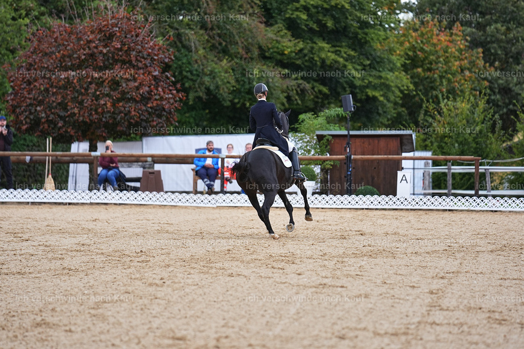 8_1-077-Klasse S_  -Marixx-4075 | working equitationturnier fotograf videograf stoibphotography marixx film working equitation deutschland reitsport turnierfotografie eventfotografie equestrian events