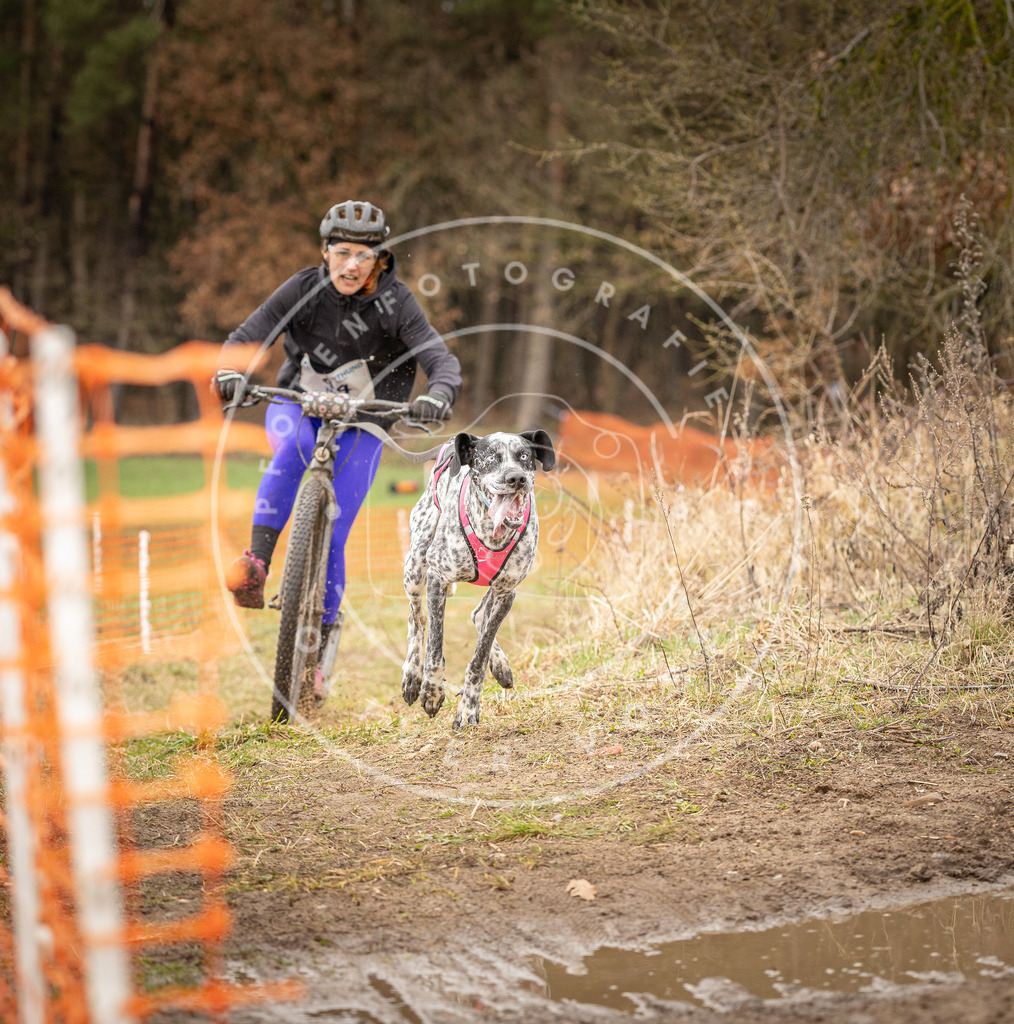 DV3A1405 | Hundefotografie, Tierfotograf, Pfotenfotografie, Fotoshooting Hund, Hunde Portrait, Hundesport, Hundeportraits, Heideshooting, Hunde, Sportfotograf, Hundefotograf, Turnierhundsport, THS,  - Realisiert mit Pictrs.com