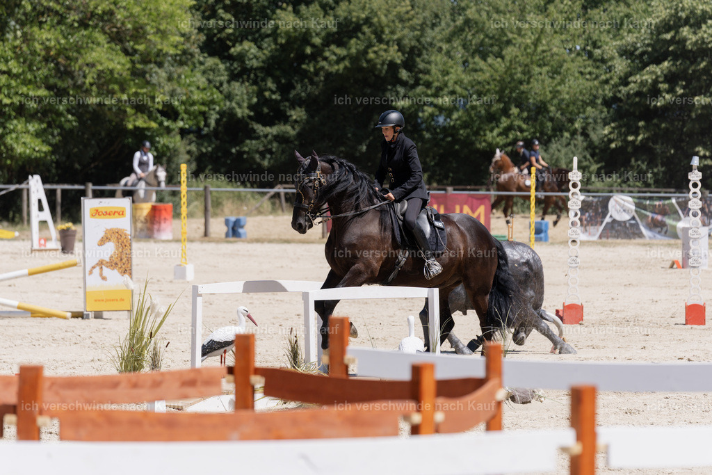 WM_SP_132_SinaFilmArt_IN06893 | working equitationturnier fotograf videograf stoibphotography marixx film working equitation deutschland reitsport turnierfotografie eventfotografie equestrian events