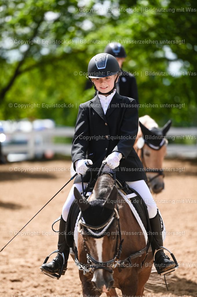 20230716_10-3_Reiter-WB Schritt - Trab - Galopp_0024 | equistock