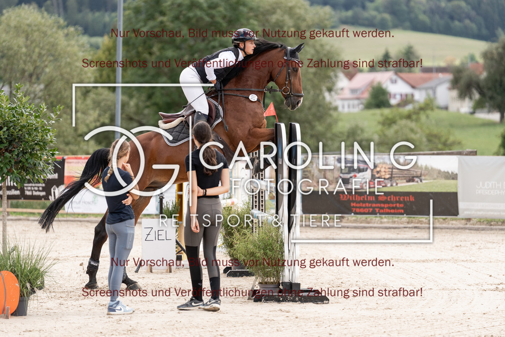 DSC06621 | Springturnier_Teamchallege_Talheim_2026, Thiana_Jacobs, Nemo_428