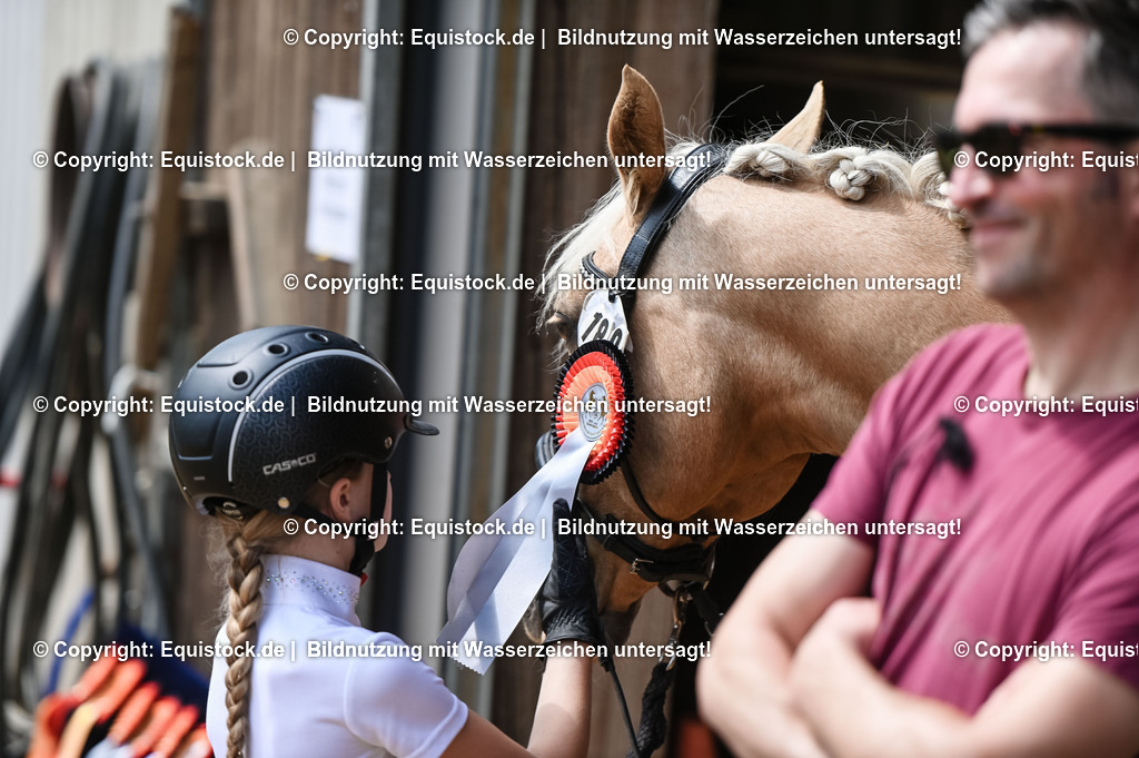 20230716_11_Führzügel-WB_0230 | equistock