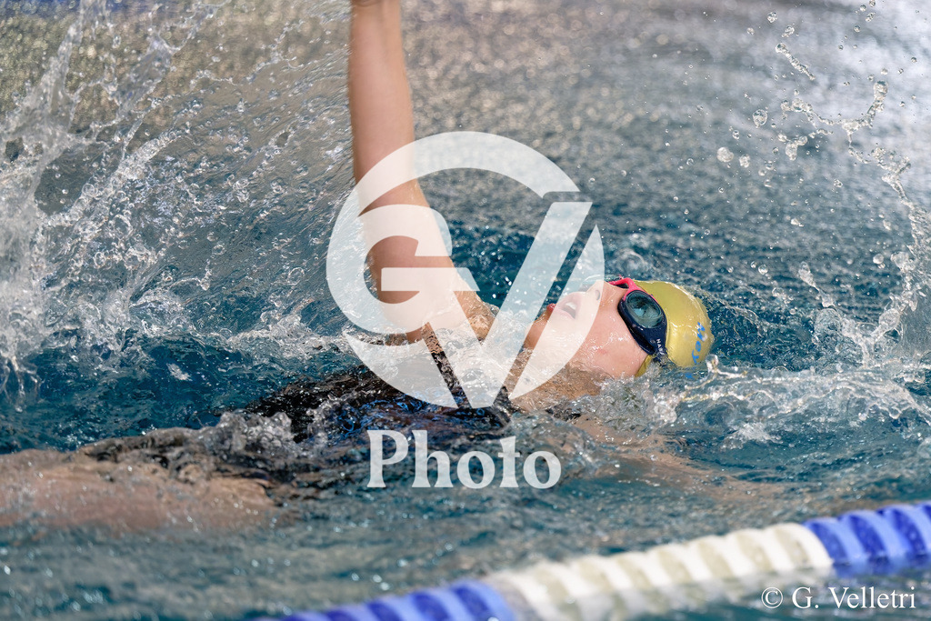 DSC_0328 | Velletri Photo