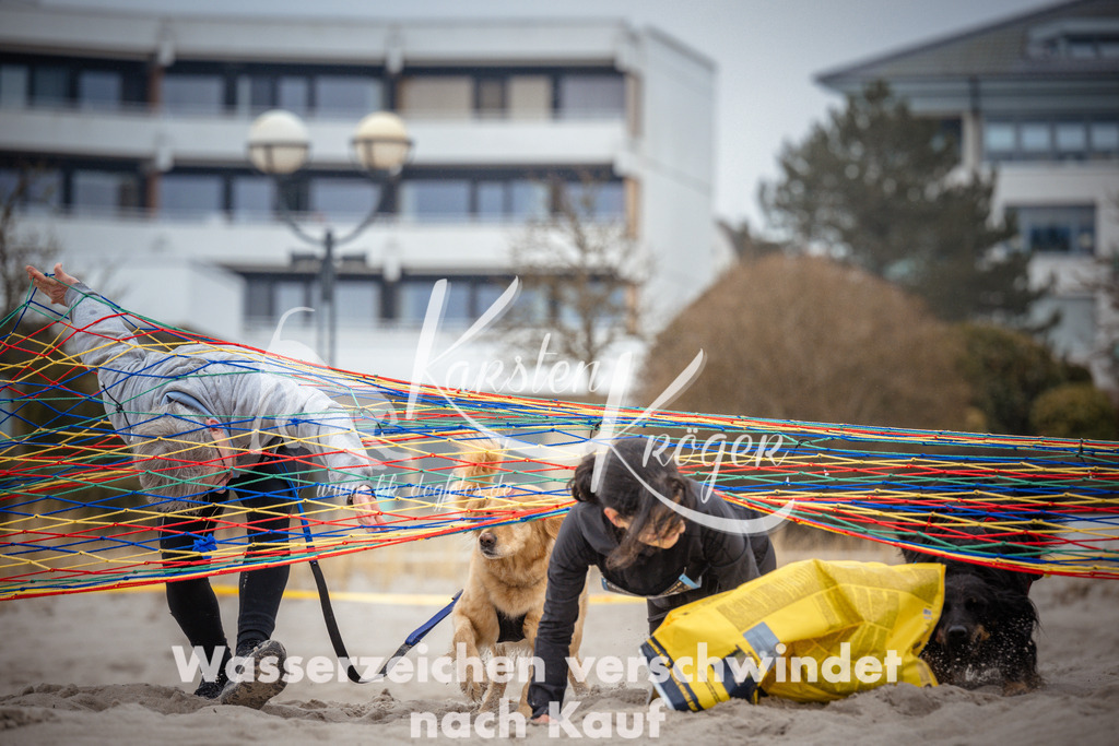 1052_ZZ96111 | kk-dogfotos