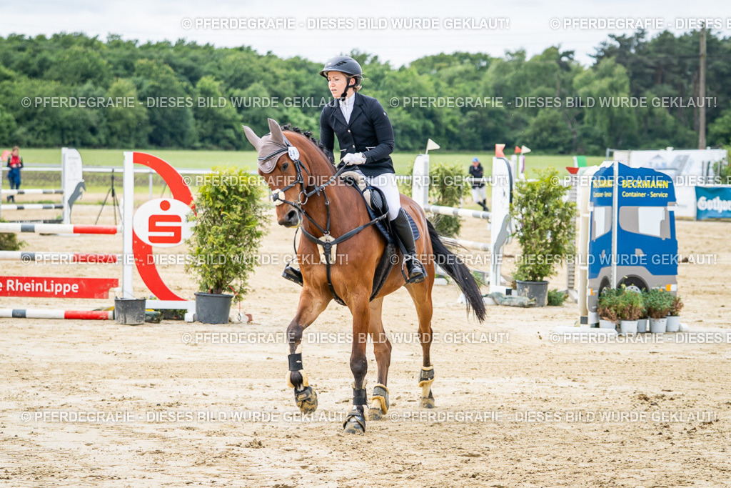 DSC05102 | Pferdegrafie