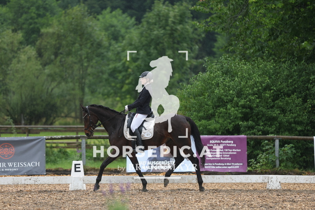 0P6A8520 | Willkommen bei Brunnmayr - Design & Fotografie – Ihrem Spezialisten für Reitturniere und Pferdeveranstaltungen in Oberösterreich, Salzburg und Bayern! Seit über 17 Jahren sind wir leidenschaftlich dabei.