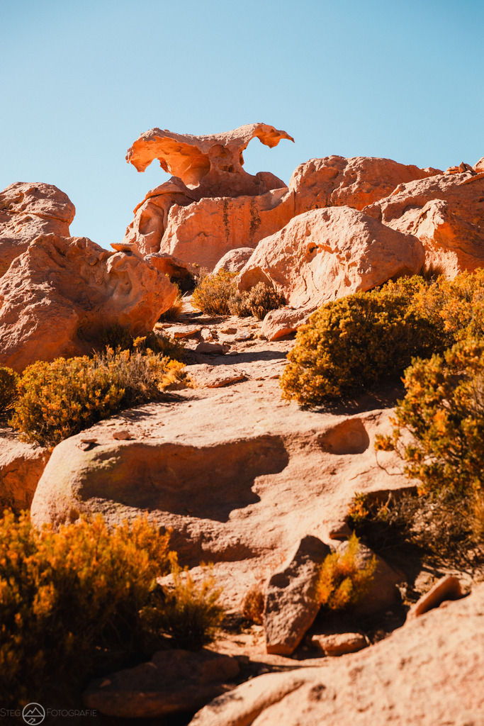 Steinadler | Format 3 zu 2 - Realisiert mit Pictrs.com