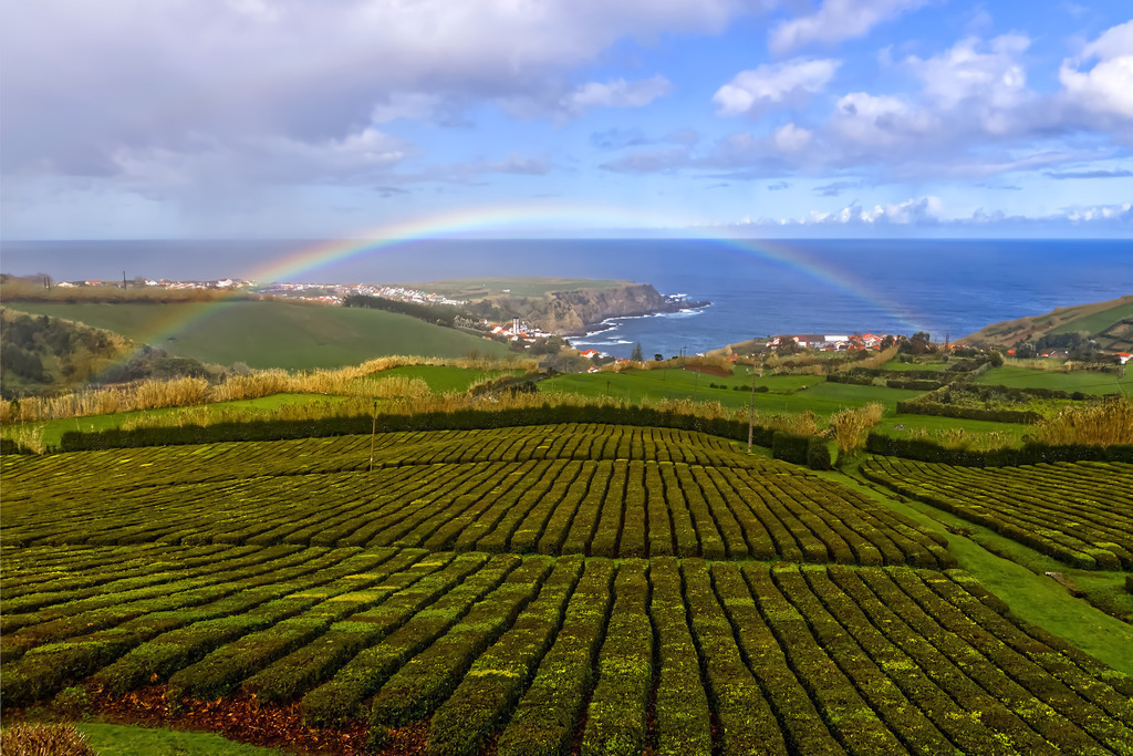 1H5A0625 | ansichtssache