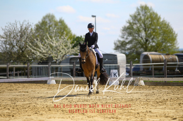 DKP43186 | Turniersportfotografie; Pferdefotografie; Dressurfotografie