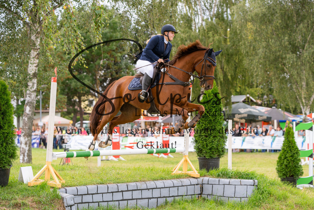 A7V05930 | Pferdefotograf