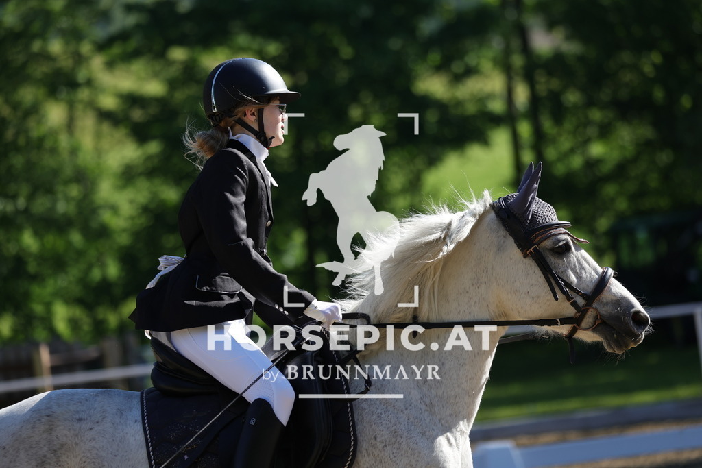 0P6A9468 | Willkommen bei Brunnmayr - Design & Fotografie – Ihrem Spezialisten für Reitturniere und Pferdeveranstaltungen in Oberösterreich, Salzburg und Bayern! Seit über 17 Jahren sind wir leidenschaftlich dabei.