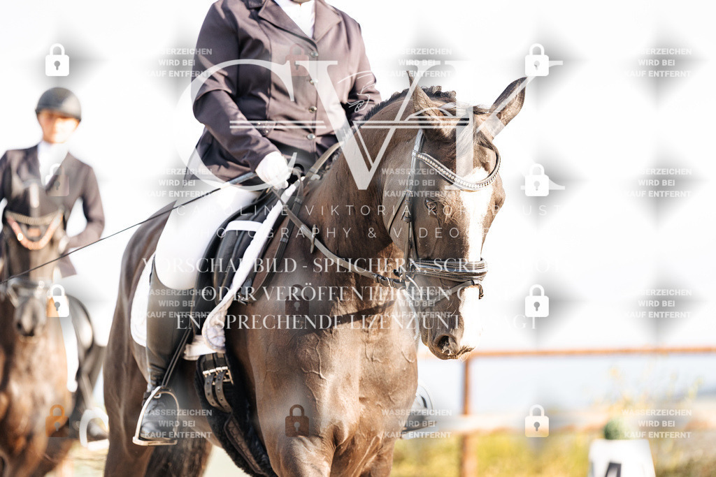CK900317 | Turnierfotografie Pferdefotografie Trier Rheinland-Pfalz Pferdesport Reitsport Tierfotografie Sportfotografie Pferdevideo Pferdevideografie Equestrianvideography equestrianphotography  - Realisiert mit Pictrs.com
