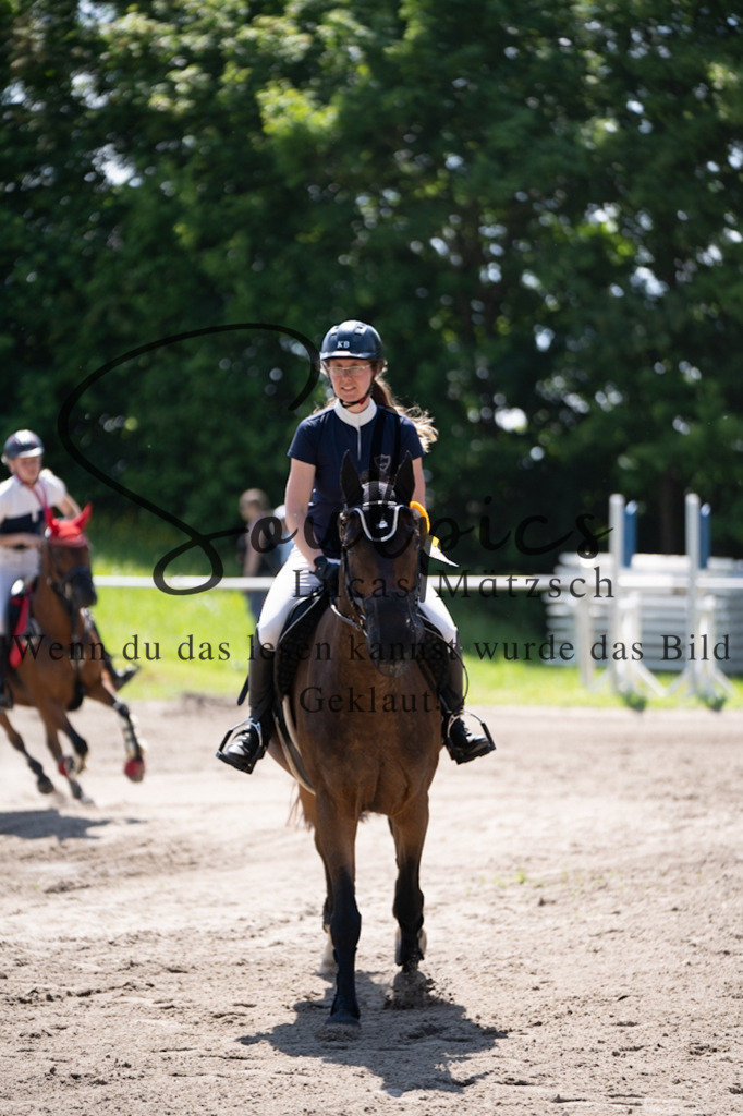 A7V03200 | Pferdefotograf