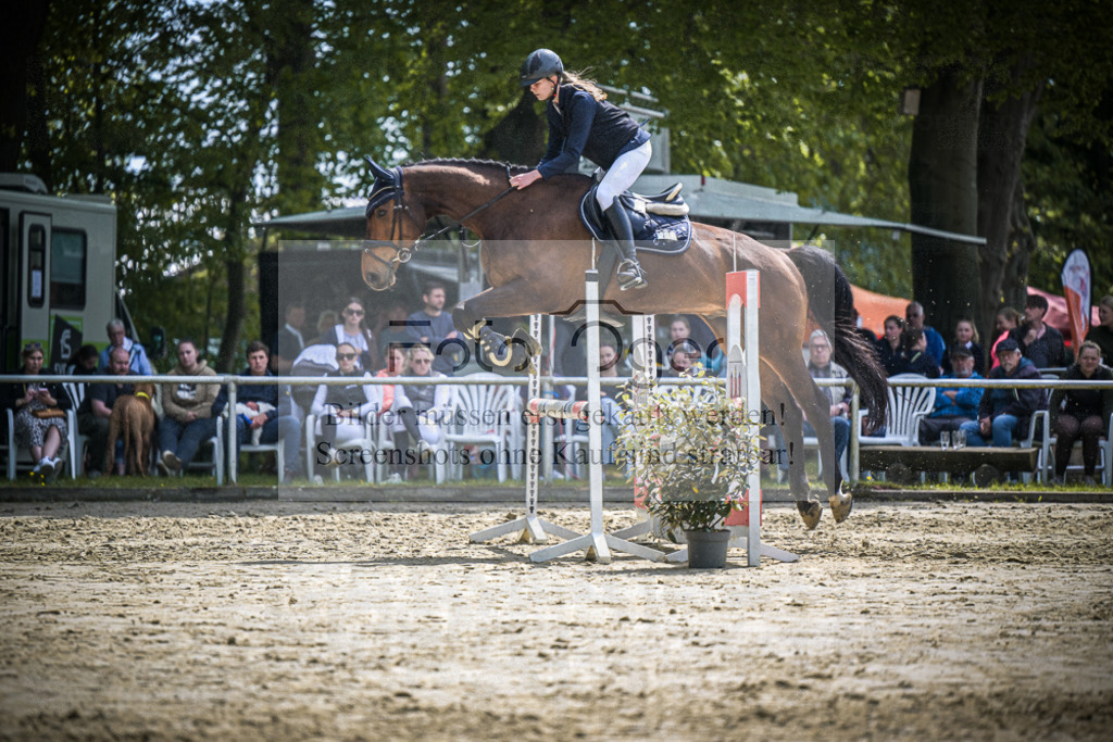 DOS_0127 | Entdecke hochwertige Reitturnierfotos von Foto Oger. Professionell, emotional und authentisch – jetzt Lieblingsmomente im Shop bestellen.Deutschlandweite Turnierfotografie. - Realisiert mit Pictrs.com