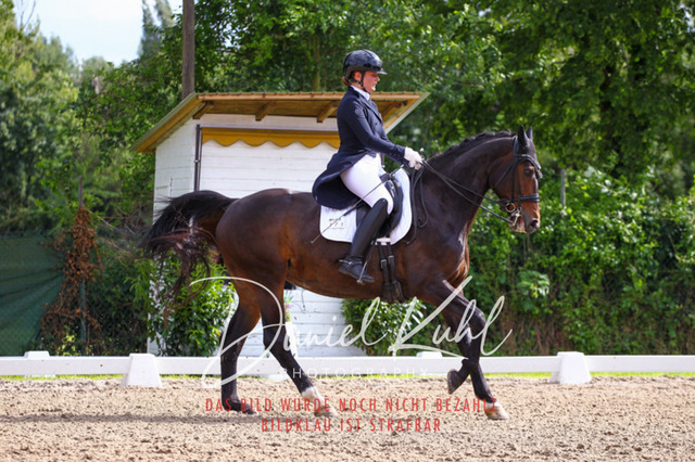 DKP41470 | Turnierfotos kaufen im Webshop von Daniel Kuhl Photography – entdecke professionelle Reitsportfotos aus Turnieren & Events. Hochwertige Turnierbilder online bestellen & sichern. Jetzt Fotos von Reitsportturnieren kaufen!