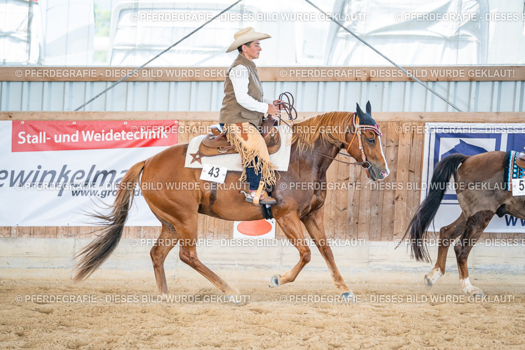 DSC03683 | Pferdegrafie