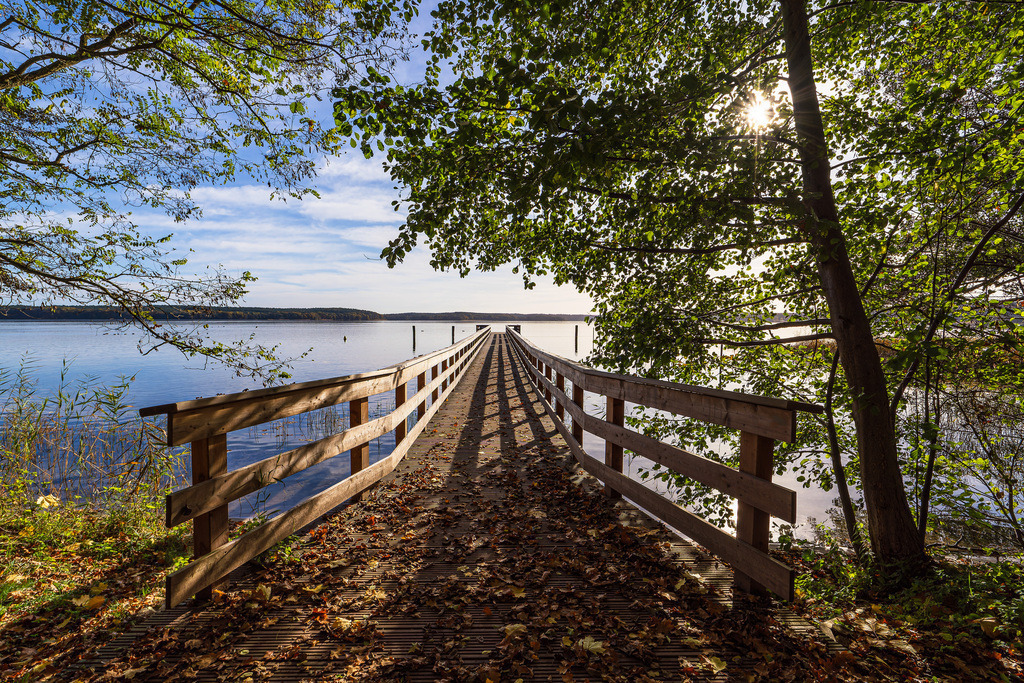 Steg und Baum am Plauer See in der Stadt Plau am See | Steg und Baum am Plauer See in der Stadt Plau am See.