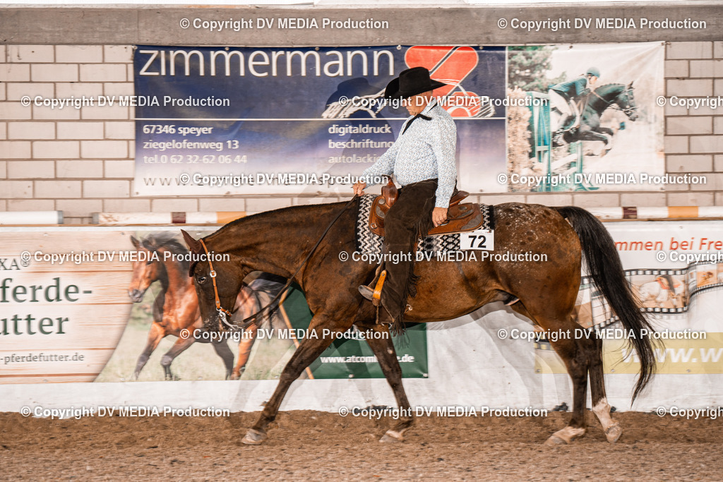 ZH200532 | dv-media-shop - Realisiert mit Pictrs.com