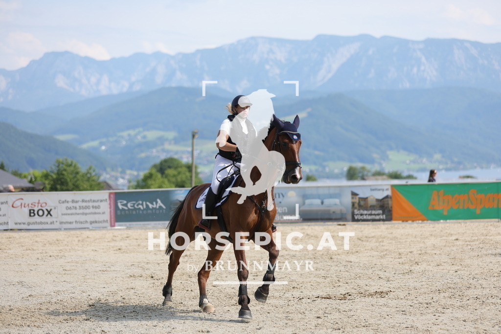 0P6A0822 | Willkommen bei Brunnmayr - Design & Fotografie – Ihrem Spezialisten für Reitturniere und Pferdeveranstaltungen in Oberösterreich, Salzburg und Bayern! Seit über 17 Jahren sind wir leidenschaftlich dabei.