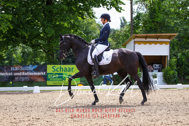 DKP41051 | Turnierfotos kaufen im Webshop von Daniel Kuhl Photography – entdecke professionelle Reitsportfotos aus Turnieren & Events. Hochwertige Turnierbilder online bestellen & sichern. Jetzt Fotos von Reitsportturnieren kaufen!